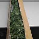 Vebreda Christmas Tree 6ft Artificial Hinged Xmas Tree with 1,000 Branch Tips, Green