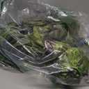 JOYIN 62 Giant T-Rex Dinosaur Inflatable for Party Decorations, Birthday Party Gift for Kids and Adults, Dinosaur Pool Toys (Over 5Ft. Tall)