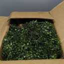 Artificial Boxwood Topiary Ball Tree Set of 2, 25.2" UV Resistant Artificial Outdoor Shrubs with Ground Spike, Decorative Evergreen Fake Topiary Bushes Plant for Front Porch Garden Decor