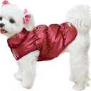 Winter Warm Dog Jacket for Small Medium Dogs Cat Cold Weather Coats with Harness Paded Dogs Fleece Vest Waterproof Windproof Dog Snow Jacket Pet Puppy Clothes (red,XXL)