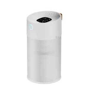 TaoTronics True HEPA Air Purifier