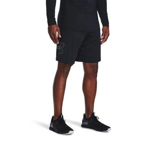 Under Armour Mens Tech Graphic Shorts L
