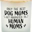New Mom Gifts for Pregnant Women, Congrats on Pregnancy Gifts for Expecting Moms, Mom to Be Gift for Pregnant Daughter Wife Friend, First Time Mommy Birthday Mothers Day Present Candle