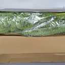 FOREST PRINCE 35" Ferns Artificial Bush Plants Large, 2 Artificial Boston Ferns with 39 Fronds for Outdoors Home Decor