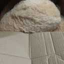 MaoGoLan Big Teddy Bear 55 inches Giant Bear Stuffed Animals Large Plushies Life Size Teddy for Children Adults (Brown)