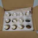 1 oz Glass Dropper Bottles for Essential Oils12Pack Clear Frosted Glass Bottles with Glass Eye Dropper Leak Proof Travel Dispenser Bottle for,tincture, Chemistry Lab Chemicals Empty