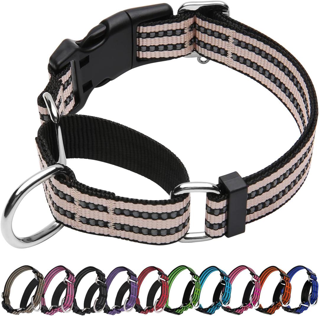 Martingale Dog Collar, Adjustable Nylon Reflective Collar with Quick Release Buckle (Pink Ivory, Large)