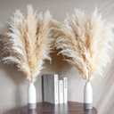 10 Stems 30" inch Dried Pampas Grass Decor Tall, Large Pompas Grass, Boho Neutral Home Decor Bouquet, Fluffy Pampass Grass for Floor Vase Wedding Floral Arrangements Wall Farmhouse Table Decor
