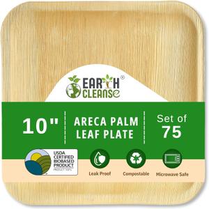 Earth Cleanse Palm Leaf Plates 10 Inch Square 75 Pack – Disposable Plates, Heavy Duty Plastic Free Compostable Dinnerware for Party, Picnic,Wedding,Camping, Everyday Use, Bamboo like Palm Plates