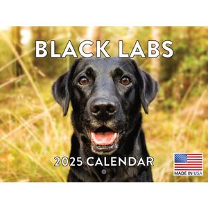 Black Lab Calendar 2025 Labrador Monthly Wall Calender 12 Month | American Made In The USA