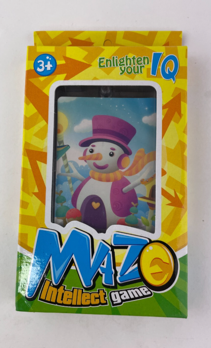 Maze Intellect Game