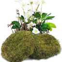 2 Pcs Round Floral Foam Blocks Green Moss Balls for Bowls Bulk Wet Dry Floral Plant Foam Block 5.5" Natural Preserved Pillow Moss for Craft Florist Easter Table Flower Arrangement DIY Decor