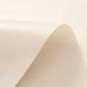 Barossa Design Beige Shower Curtain Liner - Premium PEVA, BPA & PVC Free, No Chemical Smell, Lightweight Standard Size Shower Curtain with 3 Magnets, Metal Grommets - Beige