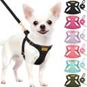 Lukovee No Pull Small Dog Harness and Leash Set - Adjustable Lightweight Soft Puppy Vest, Step-in Pet Harness with 49in Leash for Daily Walking Small Medium Dogs (Black, S)