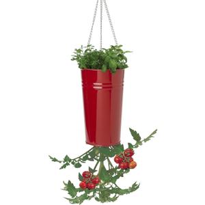 XR Galvanized Heavy Gauge Steel Hanging Strawberry Floral Planter, Red