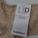 Chantelle Women's C Magnifique Seamless Unlined Minimizer (42D, Ultra Nude)