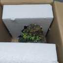 Fish Tank Decorations Aquarium Dcor Resin Artificial Tree Trunk Root (B)