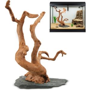 AceOrbit Large Driftwood for Aquarium, 8.5-11.5 Inch Spider Wood on Slate Stone, Natural Spiderwood Aquarium Driftwood Aquascaping Wood for Reptile Enclosure, Terrarium, Reptile Tank, Fish Tank Decor