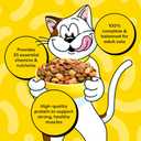 Temptations Adult Dry Cat Food, Block Party BBQ Flavor, 6.3 lb, 3 Pack (EXP 10/04/26)