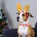 Faygarsle Pink Dog Collar Christmas Design with Bow Metal Buckle Santa Claus Snowflake Candy Pattern for Small Medium Large Dogs Bowtie Fancy Collar Cute Stylish Girl Christmas Dog Collar L