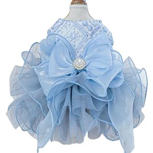 ANIAC Blue Cat Wedding Dress with Bow Knot Dog Wedding Outfit Formal Puppy Clothes for Girl Small Dog Luxury Pet Party Dress for Kitten Chihuahua Yorkie Pomeranian (Blue-2, Small)