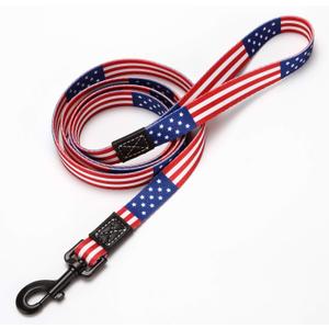 American Flag Dog Leash - Premium Nylon, Durable & Comfortable, 360 Rotating Metal Clip, Anti-Tangle Design, Ideal for Small to Medium Dogs (Leash L) (Large (Pack of 1))