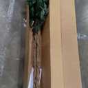 Nearly Natural 5ft Artificial Ficus Tree, Triple Trunk Faux Greenery with Natural Wood Trunks for Indoor Home Decor, with Black Nursery Pot