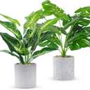 2pcs Fake Plants 16" Faux Plants Artificial Tropical Plants Indoor for Home Office Desk Kitchen Bathroom Table Shelf Decor