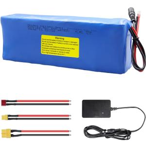 KBT 36V 8Ah Rechargeable Li-ion Battery with Charger, Charging Cable, Cable Connector, Build-in 10A BMS