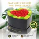 30 Preserved Roses, Petite Forever Flowers for Delivery in Designer Heart-Shaped Box, Long-Lasting Buds, for Women, Eternal Rose Bouquet for Girlfriends Birthday (Red)