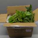 MyGift Vibrant Lifelike Artificial Plant Pothos Leafy Vine Greenery in White Concrete Rectangular Planter Box
