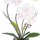 HOMESEASONS Orchid Lamp-LED Lighted Orchid Arrangements,Pre Lit Artificial Orchid,Light Up Flower Lights, Faux Orchid Phalaenopsis Arrangement (White)