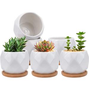 Jucoan 6 Pack Ceramic Succulent Planter Pot with Bamboo Tray, 4 Inch Small White Diamond Shaped Cactus Herb Flowers Planter with Drainage Hole for Indoor Home Office Decor