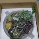 MyGift 8 Inch Round Modern Artificial Succulent Arrangement Potted in Gray Concrete Plant Bowl, Assorted Faux Mini Succulents in a Decorative Planter Pot