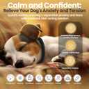 Calming Dog Collar