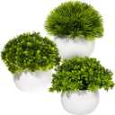 Grand Verde 3-Pack Artificial Potted Plants Mini Faux Greenery in Small White Pots for Home Decor Indoor Office Table