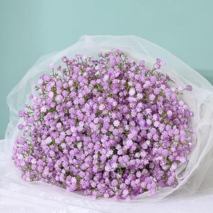 MARTINE MALL Babys Breath Artificial Flowers, 10 PCS Purple Baby Breath Flowers Artificial Bulk, Fake Babys Breath Gypsophila Real Touch Faux Babys Breath for Wedding Floral Arrangement Home Decor