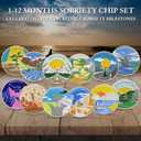 12Pcs Sobriety Coin Monthly Milestone, 1-12 Months Sobriety Chip Set, AA Chips and Medallions Sobriety Gifts for Men Women Alcoholics Anonymous Gifts(Set of 12)