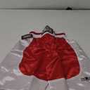 Ringside Pro-Style Boxing Trunks, Satin Shorts for Men and Women, Ideal for Boxing, MMA, Muay Thai (Red/White), L