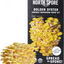 North Spore Organic Golden Oyster Mushroom Spray & Grow Kit (4 lbs) | USDA-Certified Organic, Non-GMO, Beginner-Friendly & Easy to Use | Handmade in Maine, USA (EXP 03/31/26)