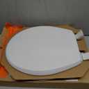 Toilet Seat 