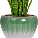 Deep Dream 8 Inch Plant Pots- Ceramic Pots for Plants with Drainage Hole and Saucer, Large Planter Pot for Indoor Plants Outdoor Decor, White&Green