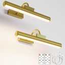 Picture Light Battery Operated, 13in Wireless Art Light for Paintings, Dimmable 5000mAh Recharging Battery Picture Light with Remote Control for Wall, Gallery Dartboard Art Bedroom (Gold-2Pack)