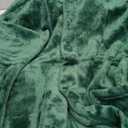 PAVILIA Wearable Blanket for Adult Women, Cozy Plush Fleece Blanket Poncho Cape with Hood, Super Soft Shawl, Angel Wrap Throw for Office, (Emerald Green, XXL)