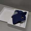 INIA Glow 4D Wireless Red Light Therapy Mask for face  Dual NIR, 320 LEDs, 4 Modes, Under-Eye Cooling, Cordless & Rechargeable LED Face Mask for Home & Travel, Skincare Gifts for Women Mom Wife, Blue