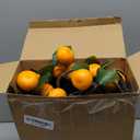 Daifunli 10 Pcs Artificial Tangerine Branches 25 Inch Realistic Faux Oranges Fruit with Green Leaves Simulation Orange Branch Decorative Kumquat Tangerine for Vase Home Party Decoration (6 Oranges)