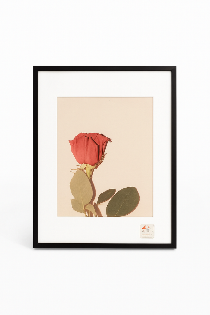 Black Frame 11.5"×14.5"