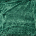 Puncuntex Flannel Fleece Throw Blanket Classic Green 50"60",Super Soft Plush Cozy Blanket with Square Grid Design Luxury for Couch Sofa Chair