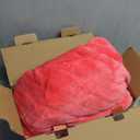greenoak Heated Blanket Electric Throw 50"X60", Heating Blanket with 10 Heat Levels 8 Hours Auto-Off,Fleece Soft Christmas Blanket,Birthday Gifts for Women Mom, Coral Pink