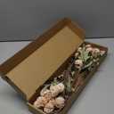 Floroom 5pcs Beige Faux Silk Mums Artificial Flowers, Bulk Fake Small Mini Chrysanthemums with Stems for DIY Champagne Wedding Centerpieces Floral Arrangements Vase Fillers Home Decorations